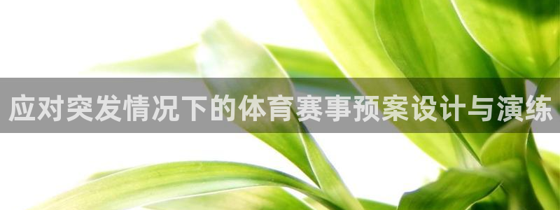 应对突发情况下的体育赛事预案设计与演练